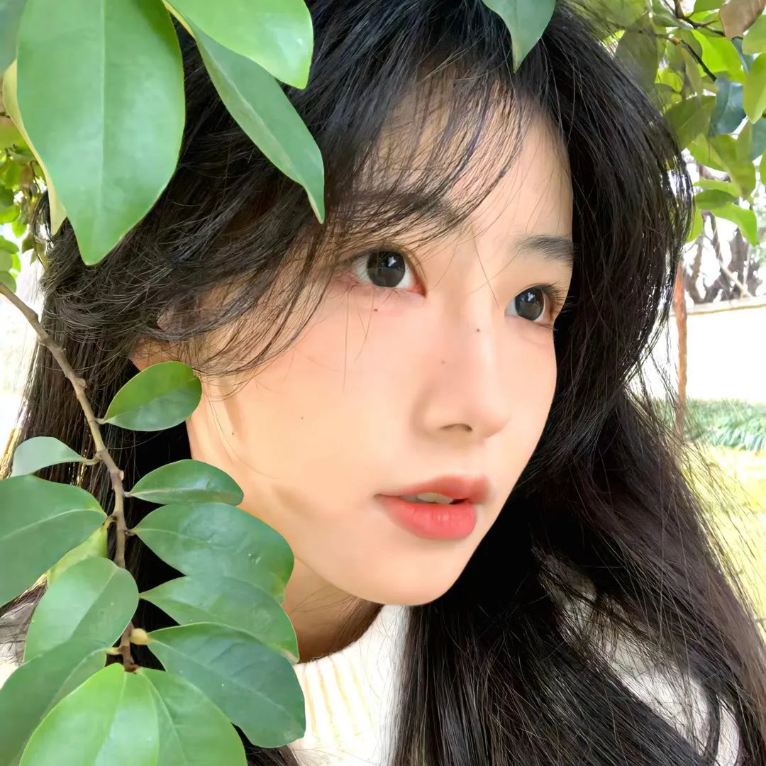 申城异闻录